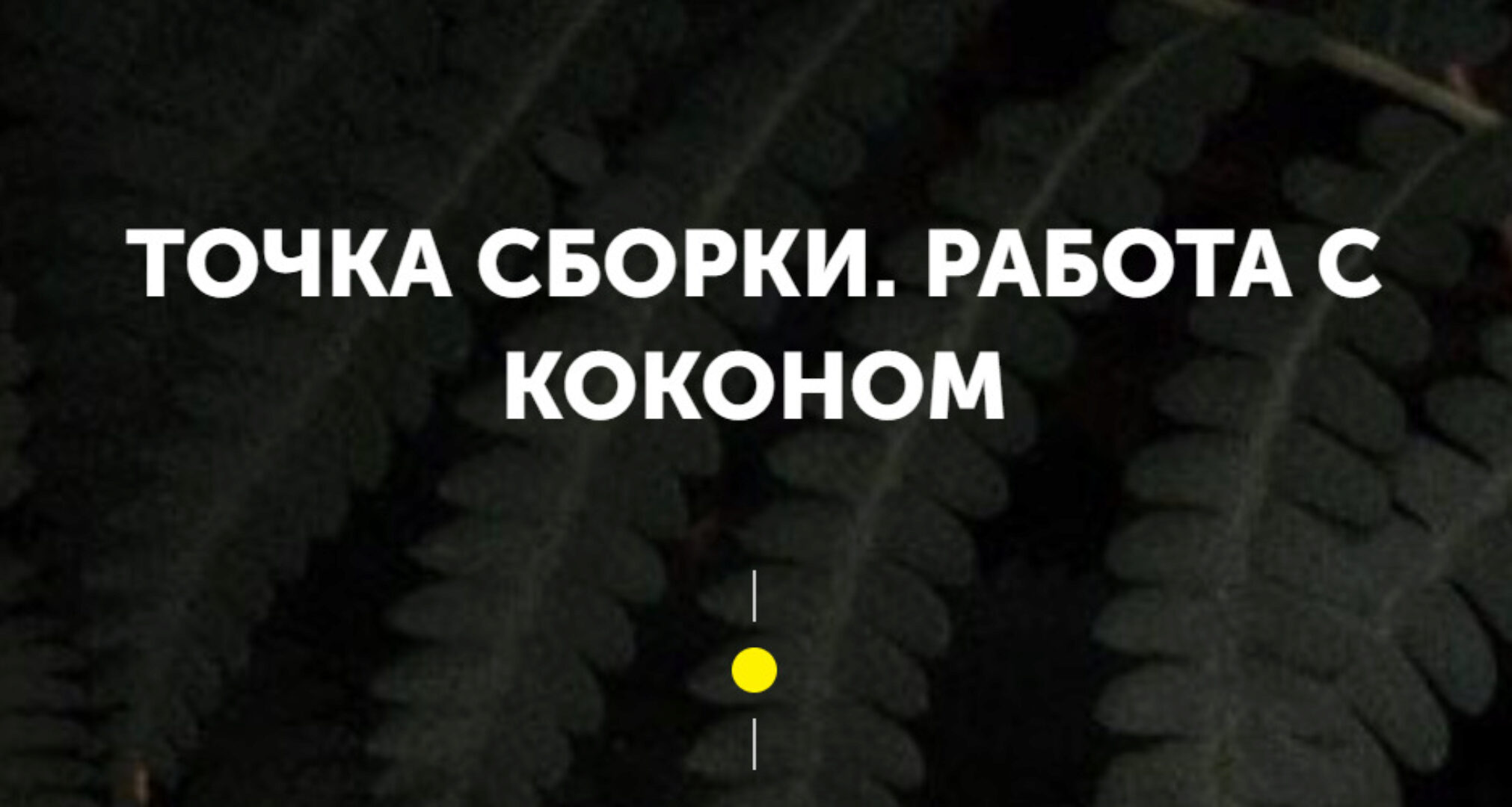 [Врата Миров] Точка сборки. Работа с коконом (Ольга Веремеева)