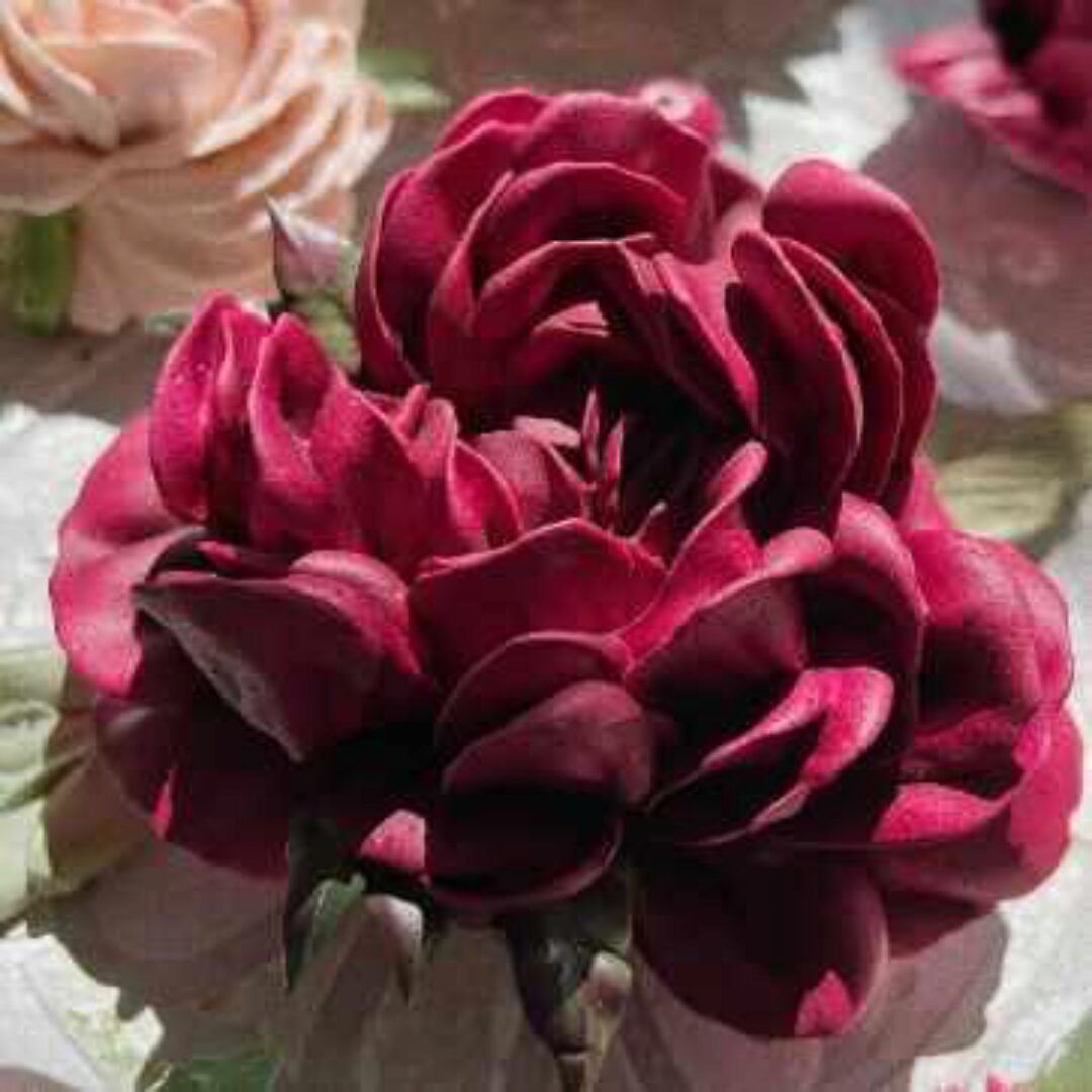 [zefir.mira] Зефирные пионы (Мирослава Садовая)