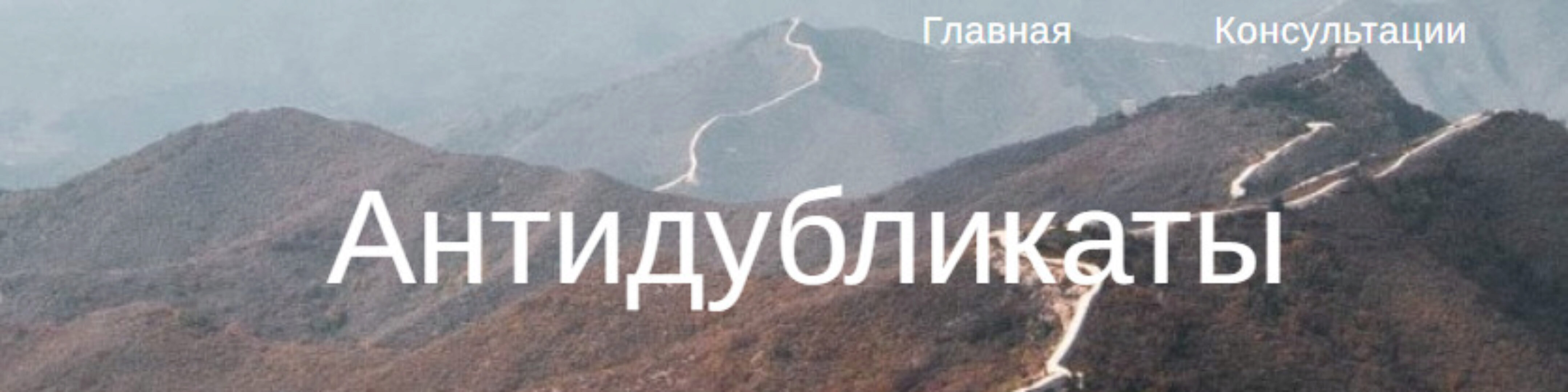 Антидубликаты (Юлия Бальсина)