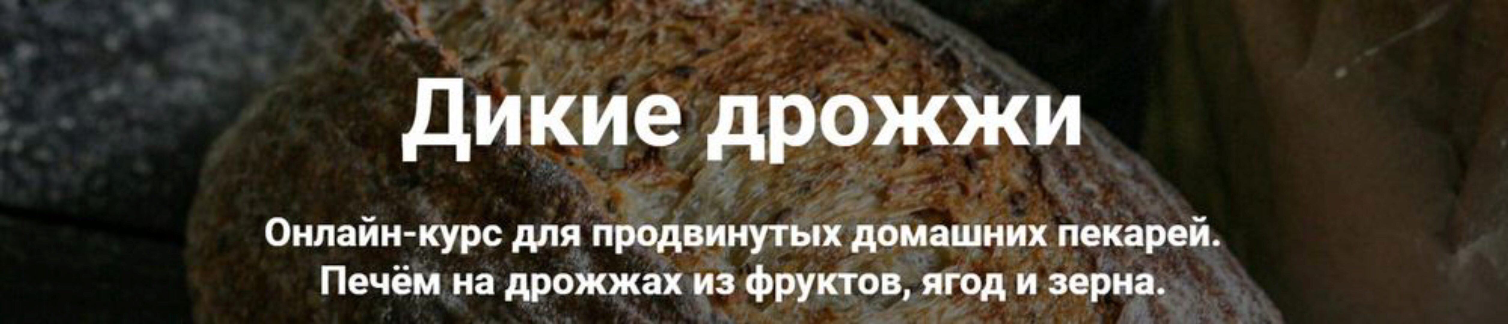 Дикие дрожжи (Ахмед Али-заде, Ольга Ткаченко)