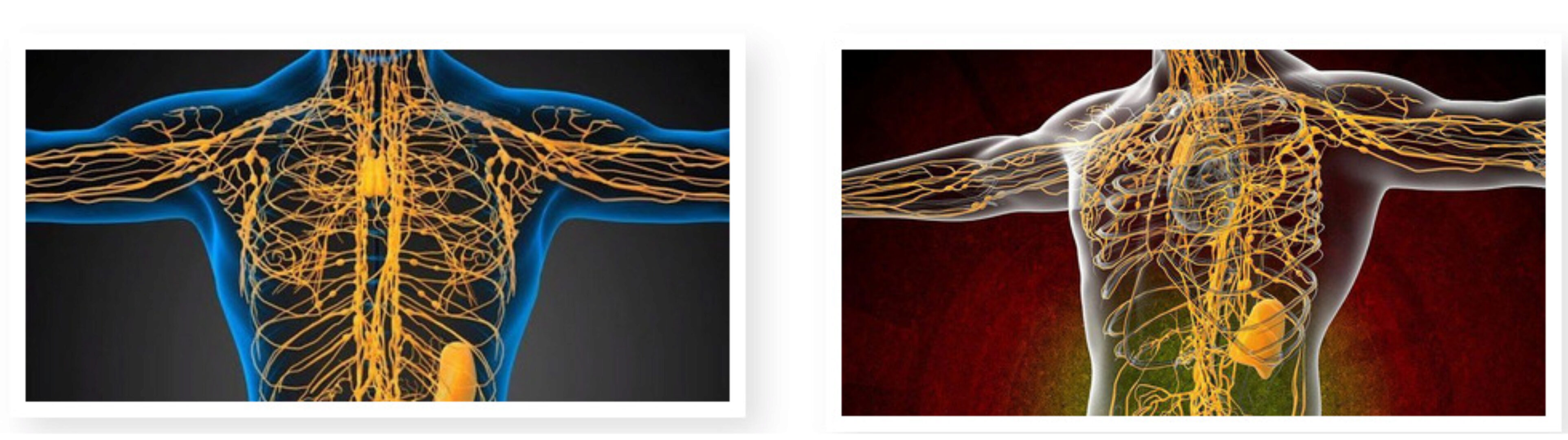 Здоровая лимфа. Сеанс №1 (Юджиния Квант)