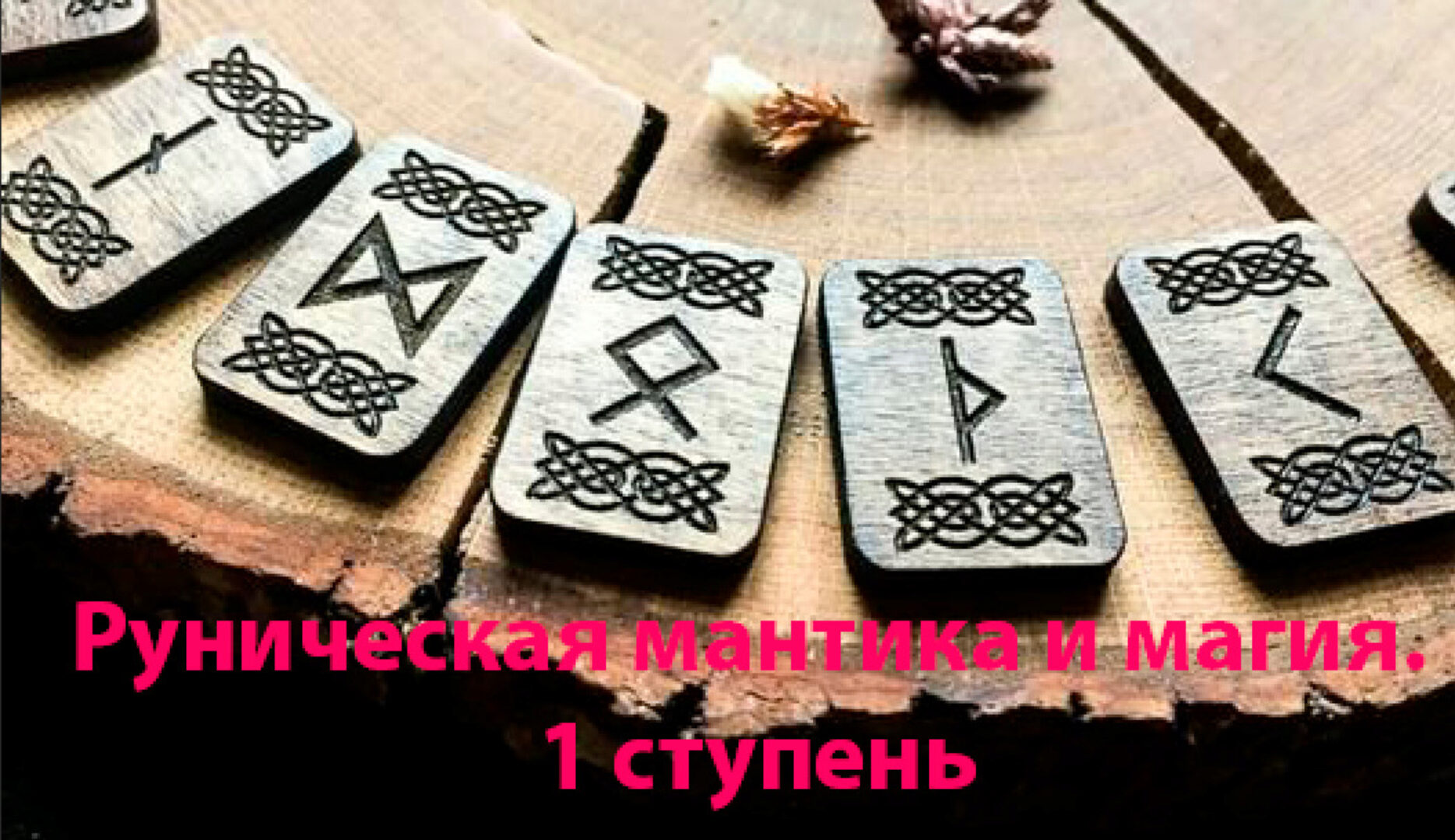 Руническая мантика и магия. 1 ступень (Лариса Кузнецова-Фетисова)