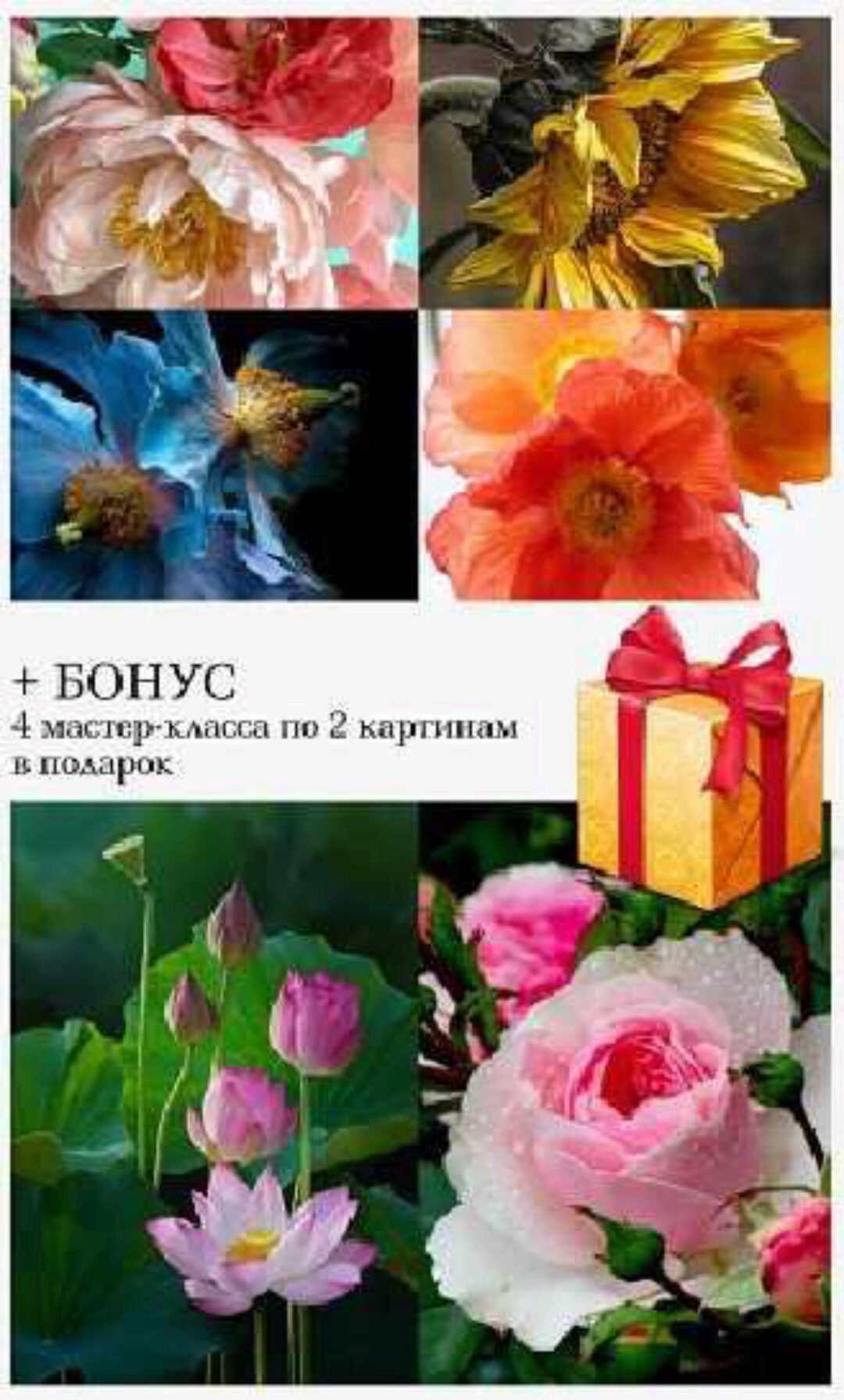 [Студия живописи] Макро цветы. Пакет Необходимый минимум (Ольга Базанова)