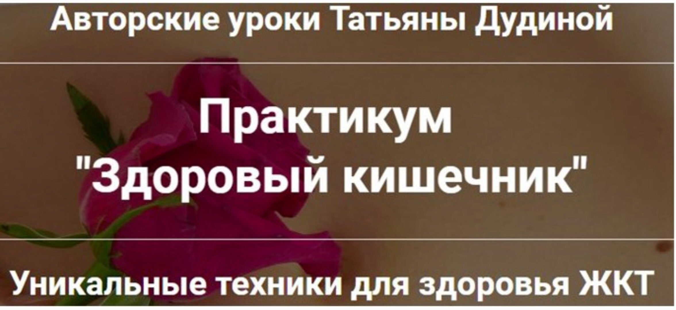 Здоровый кишечник (Татьяна Дудина)