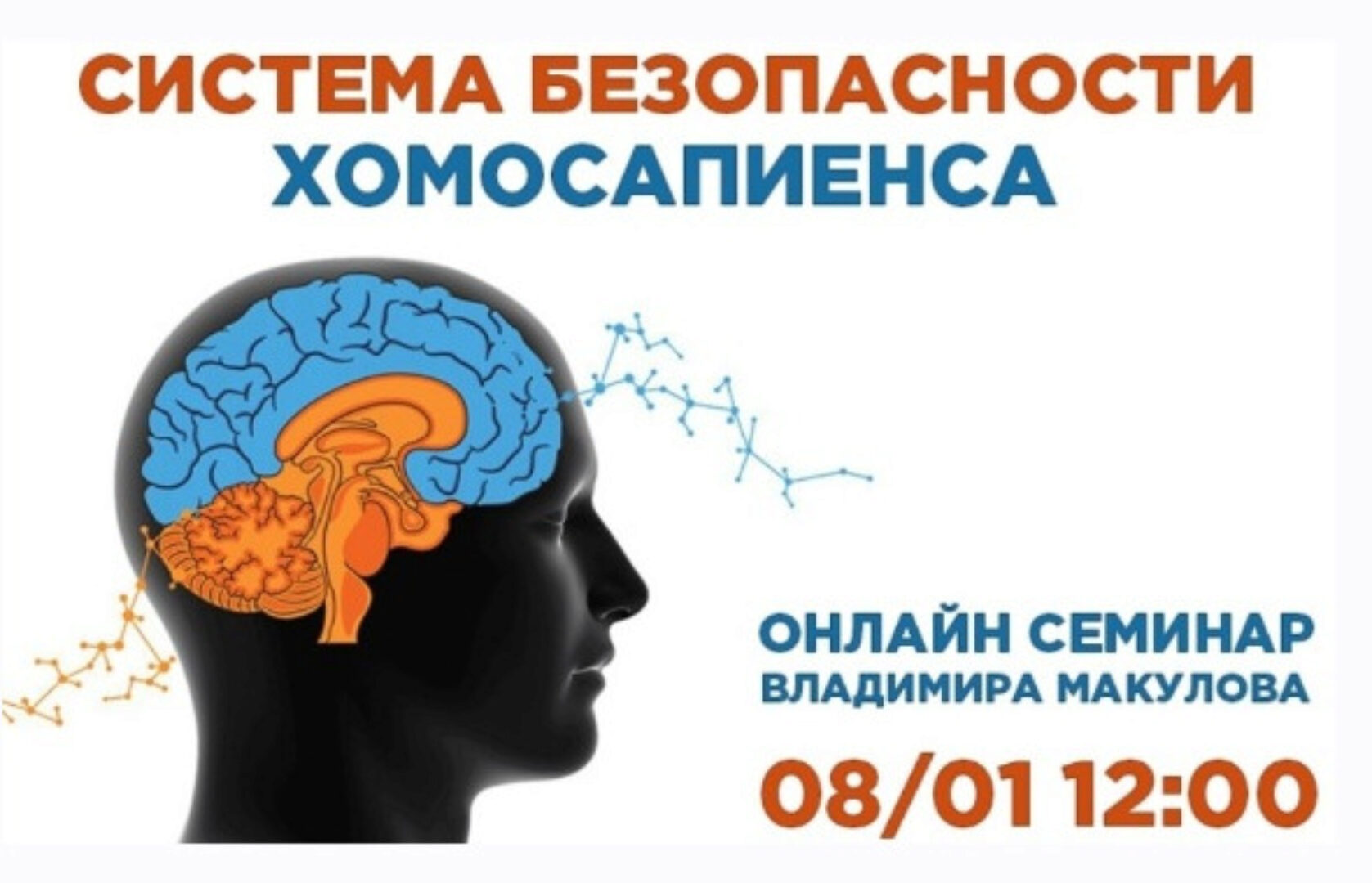 Система безопасности хомосапиенса (Владимир Макулов)