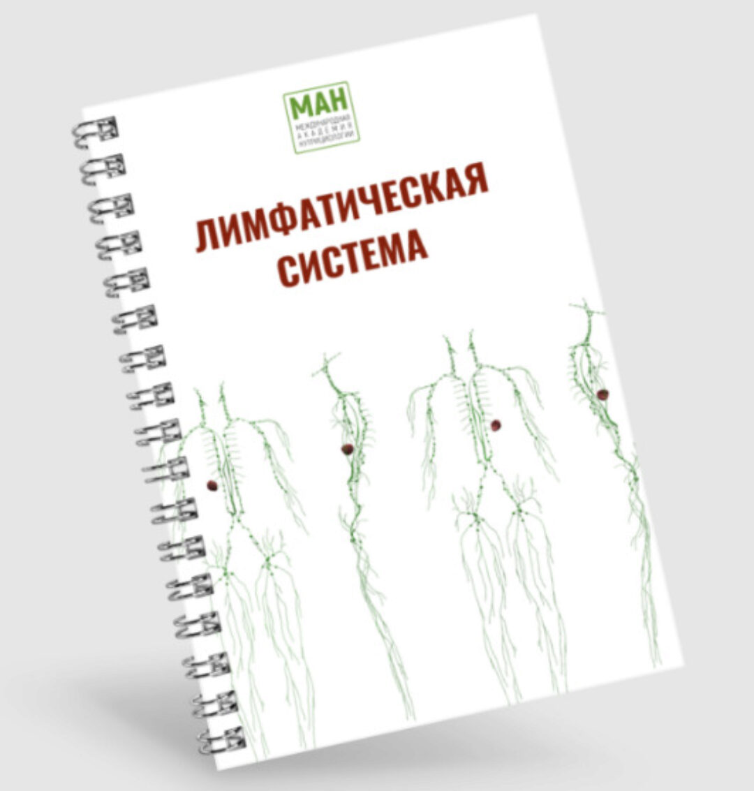 [Международная Академия Нутрициологии] Гайд по работе с лимфой