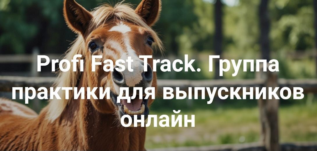 [Институт Открытого поля] Profi Fast Track. Группа практики для выпускников онлайн (Елена Веселаго)
