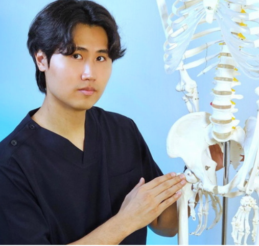 Здоровый тазобедренный сустав (Артем Пак)