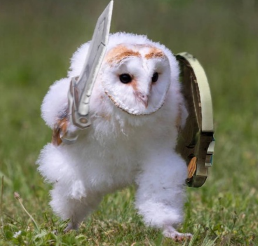 [Owlsova] Авитолог 2025