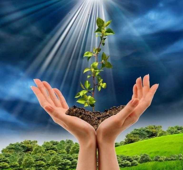 Магическое рейки успеха (Даэлин Вульф)