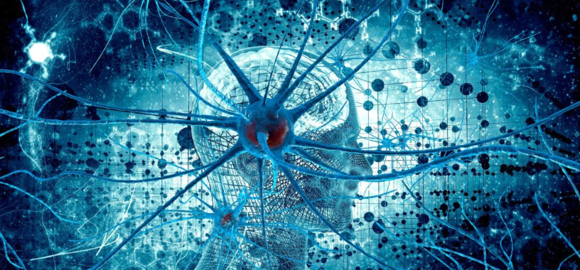 [Архэ] Введение в когнитивную нейронауку. Лекция 4. Процессы научения в мозге (Ольга Сварник)