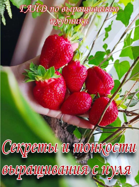 [Yagodniy_dvorik] Гайд по выращиванию клубники