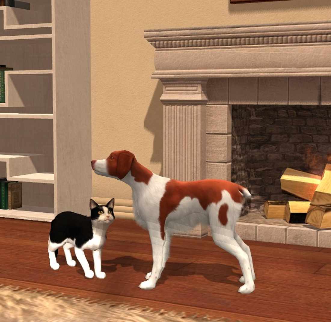 Рейки: Домашние животные исцеляющий поток (Мануэла Фазоли)