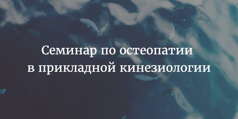 Семинар по остеопатии в прикладной кинезиологии 2017 (Андрей Косиков)
