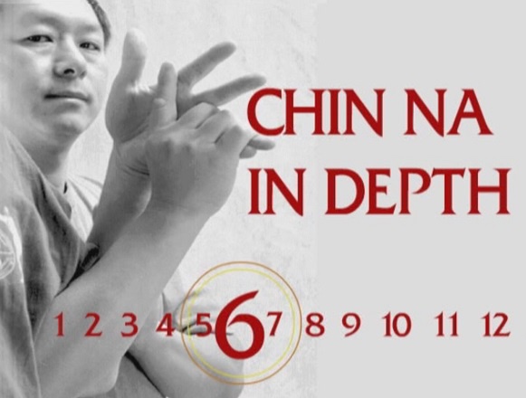 Боевые Искусства. Цинь на. Chin Na in Depth 6 (Ян Цзюн Мин)