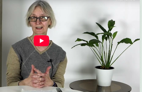 [Инфоурок] Каллиграфия: древнерусского письма — кириллица: устав, полуустав, вязь, скоропись