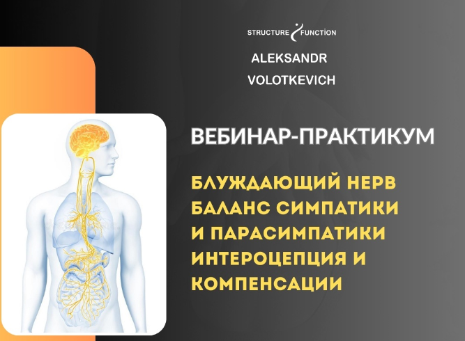 Блуждающий нерв, баланс симпатики и парасимпатики, интероцепция и компенсации (Александр Волоткевич)