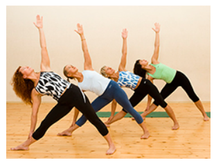 Пранаяма для учеников и преподавателей. Йога Айенгара, 6 DVD (Елена Ульмасбаева)