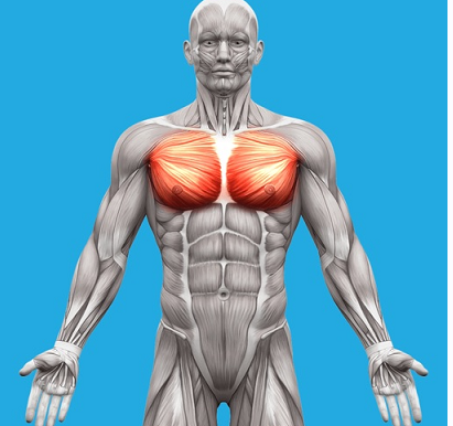 Дыхание. Терапия внутренним давлением. Мьюинг. Рефлекторные техники (Александр Волоткевич)