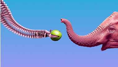 [Прямая речь] Бионика: что мы подсмотрели у природы. Интерактивная научная лекция для детей 9+ и их родителей (Илья Гомыранов)