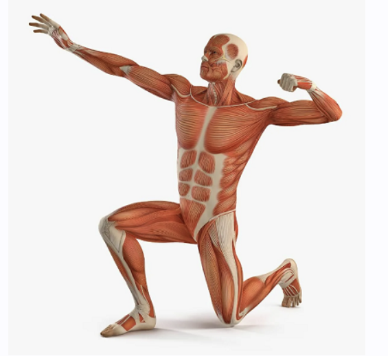 Разблокировка крестцово-подвздошного сочленения (Александр Волоткевич)