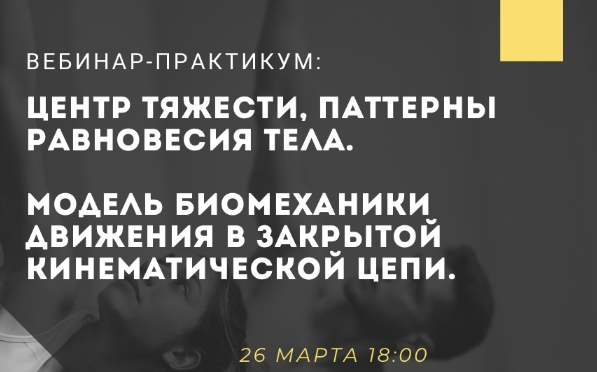 Центр тяжести. Паттерны равновесия тела. Модель биомеханики движения в закрытой кинематической цепи (Александр Волоткевич)