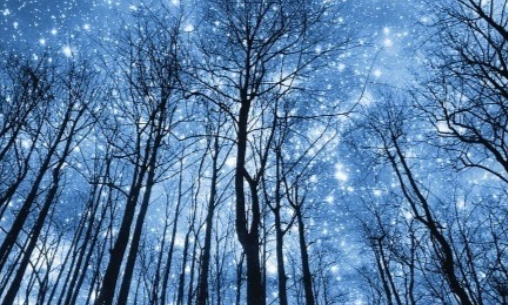 Астрология налегке. Февраль-Март 2025. Тариф Очарованный небом (Анна Староминская, Константин Дараган)