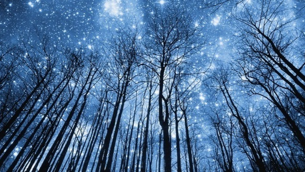 Астрология налегке. Март-Апрель 2025. Тариф Очарованный небом (Анна Староминская, Константин Дараган)