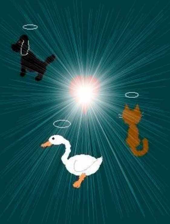 Животное Ангел Рейки (Линда Колиберт)