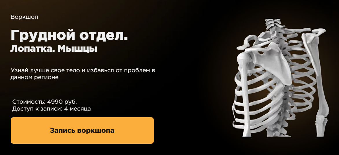 Грудной отдел. Лопатка. Мышцы (Стас Свобода)