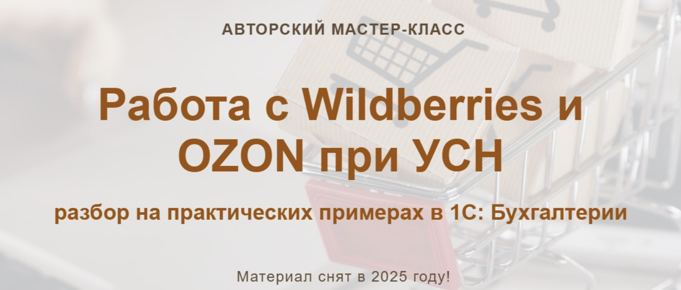 Работа с Wildberries и OZON при УСН (2025) Тариф: Видео без обратной связи (Алина Календжан)