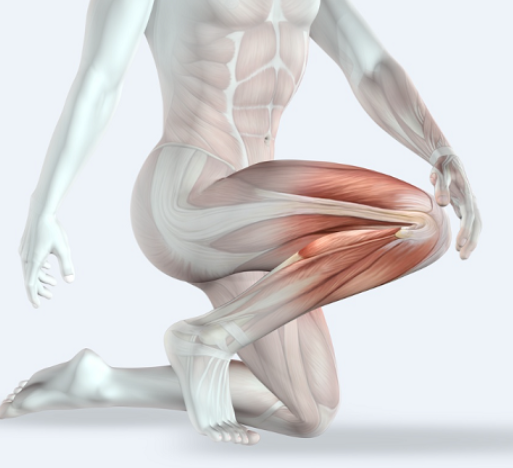 Колени: здоровье и биомеханика (Александр Волоткевич)