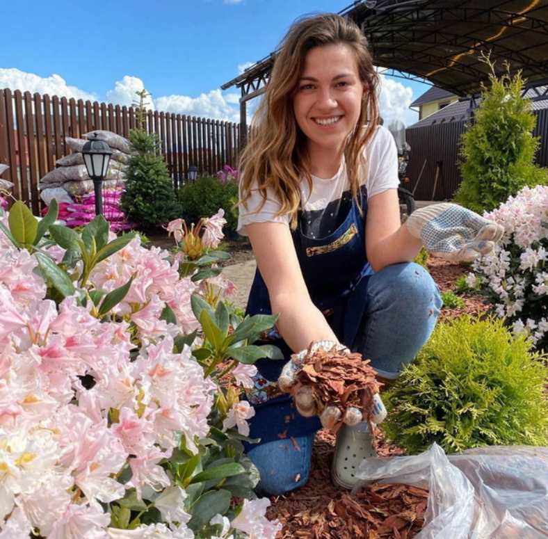 Цветник на солнце (Кристианна Виниченко)