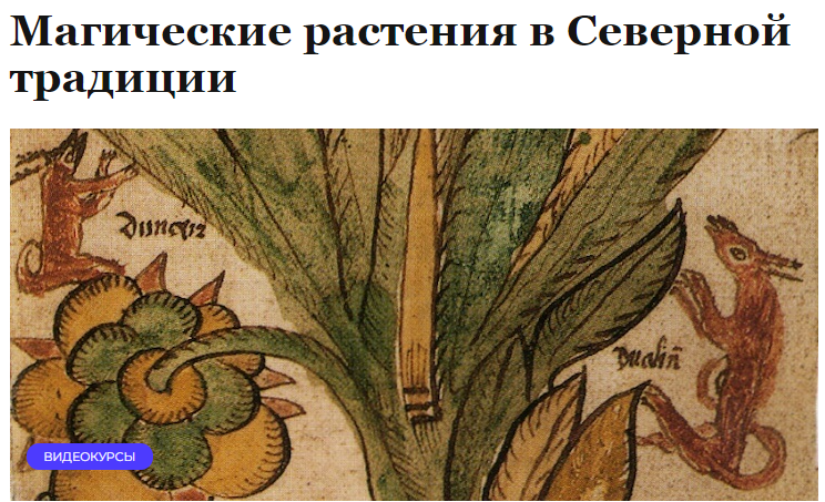 [Нордхейм] Магические растения в Северной традиции (Ольга Ясинская)