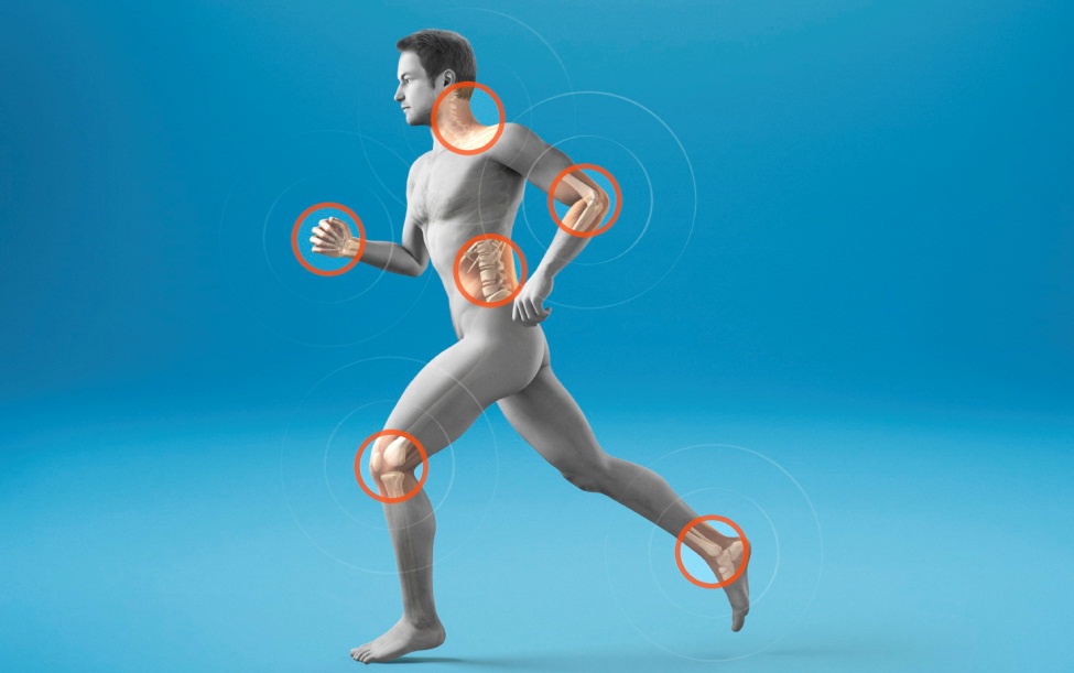 Схемы применения нутрицевтиков при проблемах ОДА (Ольга Кондратьева)