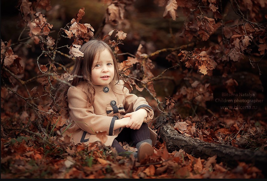 Багровая фантазия (Наталья Блицена)