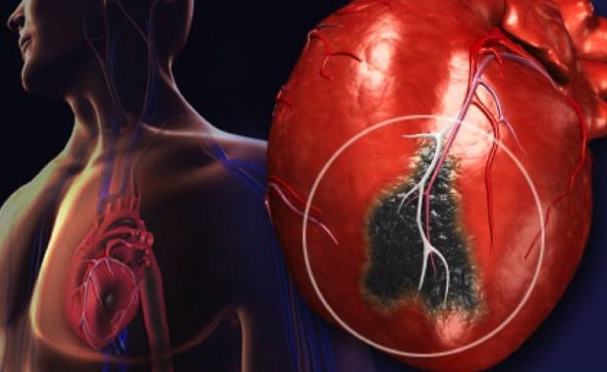[Neso Akademie] Клуб Таро. Июнь 2023. Деревенская магия. Исцеление заболеваний (София Вюрстлин)