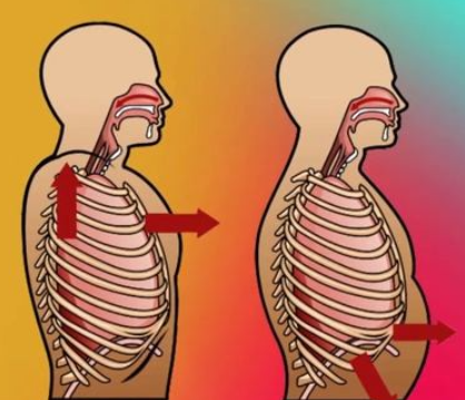 Регулировка внутрибрюшного давления. Выстраивание грудной клетки над тазом. Истинный кор и плиометрика. Клеточное дыхание (Александр Волоткевич)