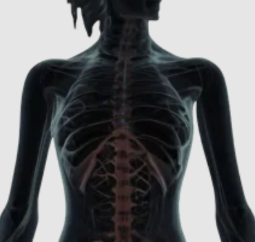 Торчащие ребра: биомеханика, тестирование и коррекция (Александр Волоткевич)