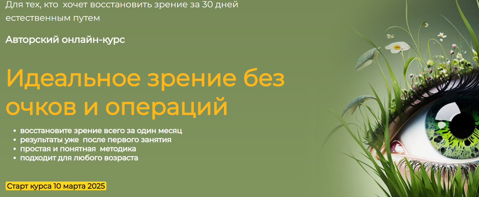 Идеальное зрение без очков и операций. Тариф Продвинутый (Сергей Демин)