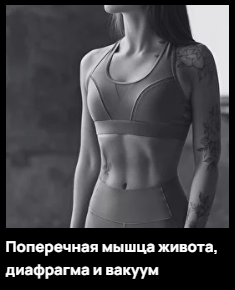 Поперечная мышца живота, диафрагма и вакуум (Александр Волоткевич)