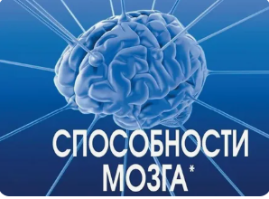 Реализация способностей мозга, 13 месяц (Егор Булыгин)