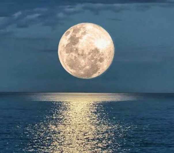 Сила Лунного Света (Оле Габриэльсен)