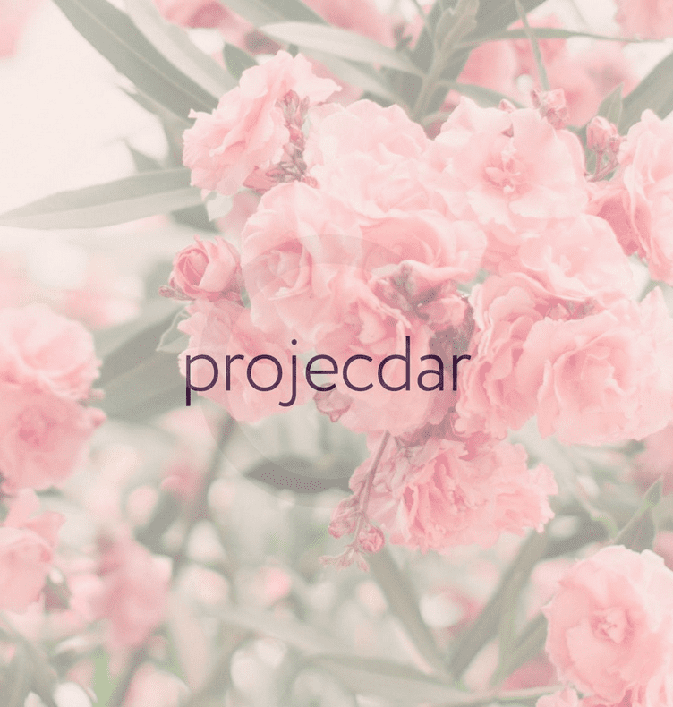 [Projecdar] Синдром отложенной жизни (Дарья Стаховская)