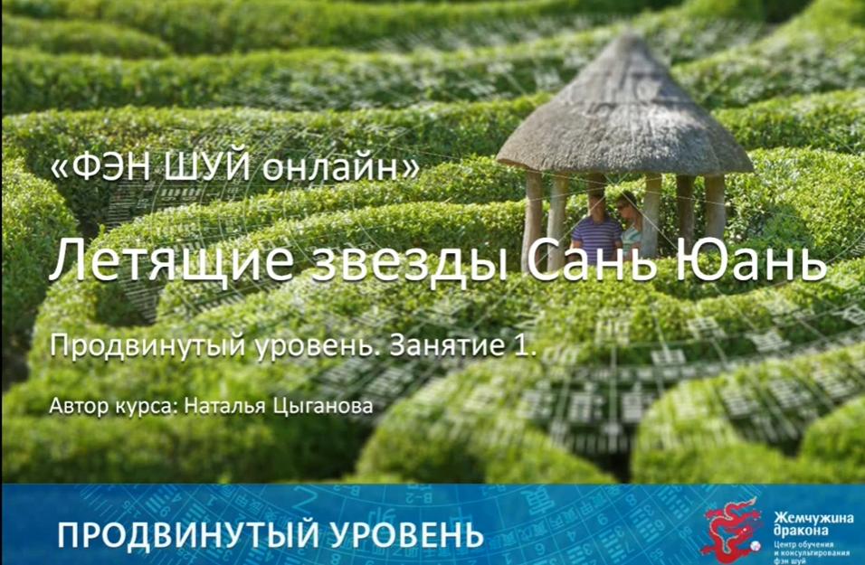 Фэн Шуй онлайн. Продвинутый уровень 7/10 (Наталья Цыганова)