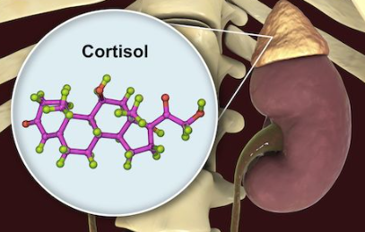 [Аудио-гипноз.рф] Дисфункция надпочечников 2023