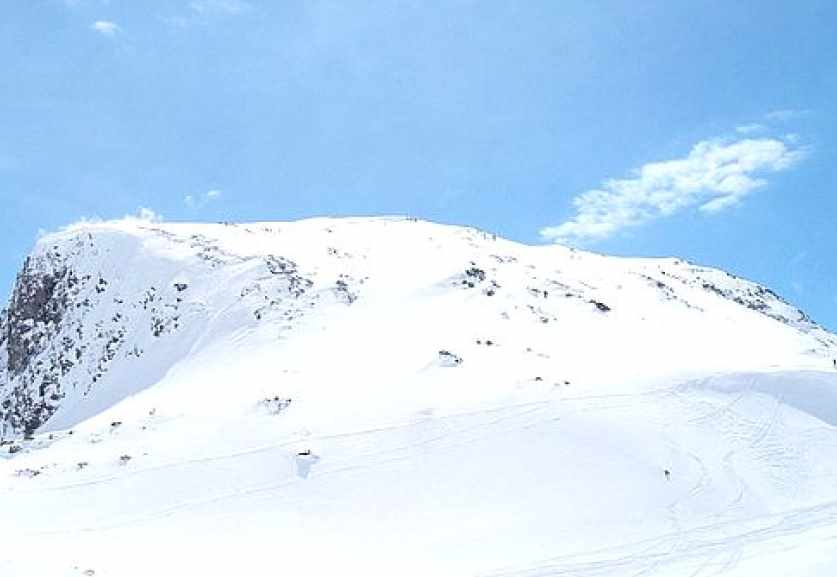 Костный лосьон рейки (Стюарт Фаркарсон)