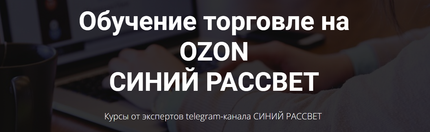 [Синий рассвет] 5 стратегических рычагов управления бизнесом на Ozon (Мария Плескач)