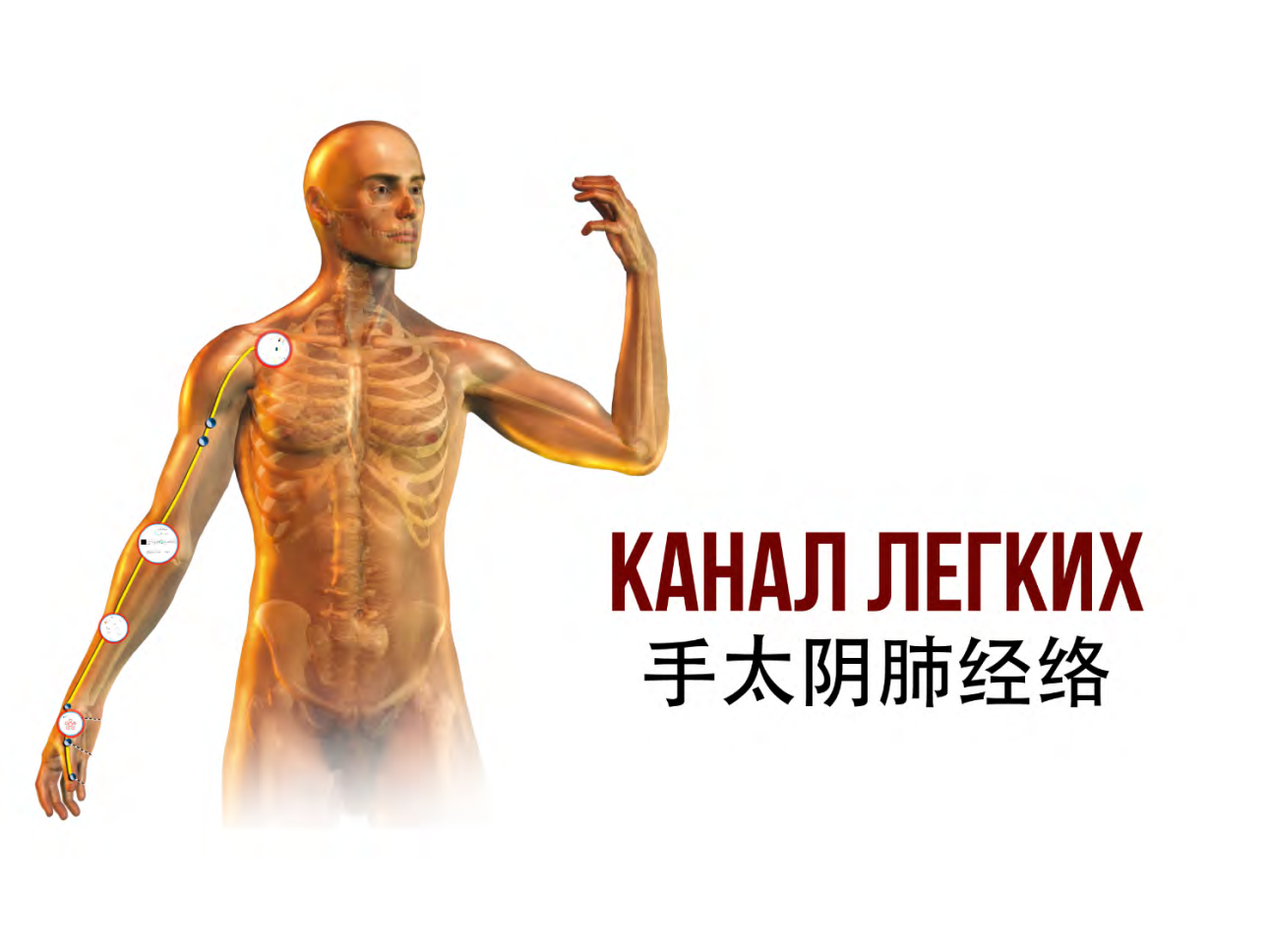 [Неоглори] Сам себе доктор