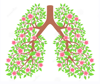 Пневмония. Плеврит. Хроническая обструктивная болезнь легких (Елена Арчибасова)